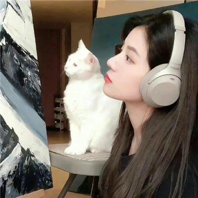 维也纳和鬼魂乐队